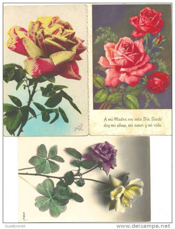 Joli Lot De 3 Cpa De Roses.cf Scans. - Fleurs