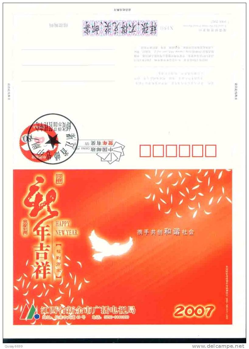 Pigeon, Xinyu TV Admin Ad.  Bird, Oiseaux, Timbre-spécimen, Carte Pré-emboutie De Lettre, Papeterie Postale - Pigeons & Columbiformes