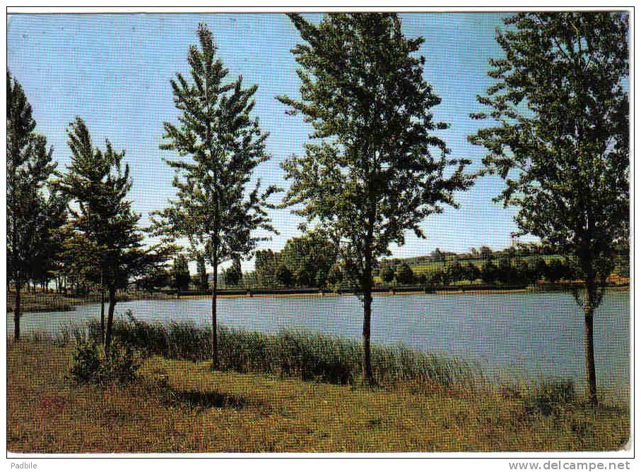 Carte Postale  81.  Rabastens   Le Lac - Rabastens