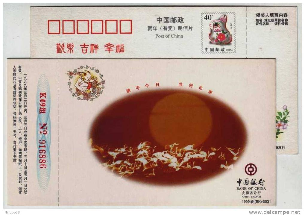 Wild Swan Lake,China 1999 Bank Of China Anhui Branch Advertising Postal Stationery Card - Swans