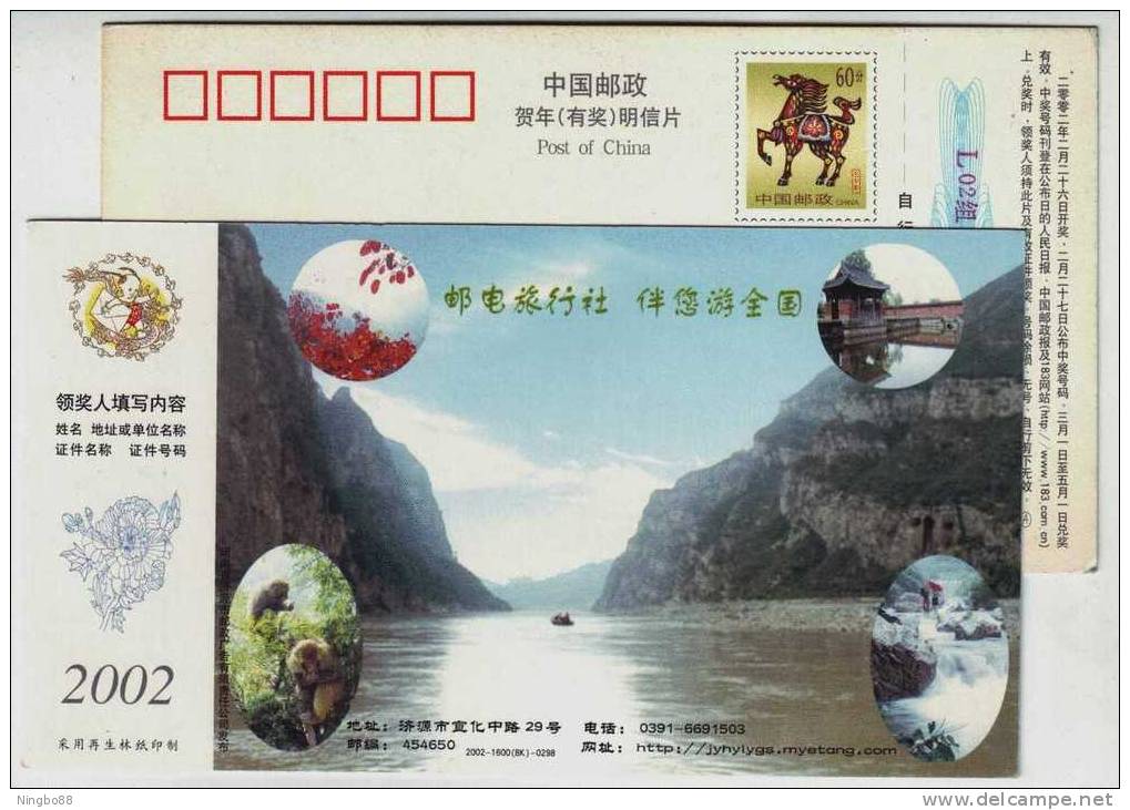 Monkey,Mapple,Waterfall,C   Hina  2002 Jiyuan Post Office Travel Service Advertising Postal Stationery Card - Apen