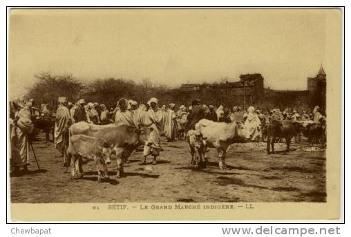 Sétif - Le Grand Marché Indigène - 94 (côté Droit Rétréci) - Setif