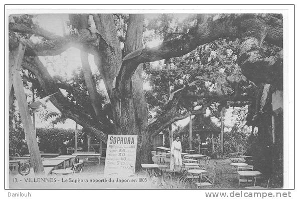 78 /FL/ VILLENNES, Le Sophora (arbre) Apporté Du Japon En 1803, N° 13Ed Abeille - Villennes-sur-Seine