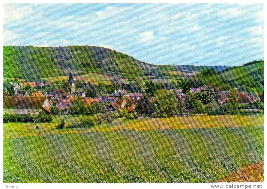 BRINON SUR BEUVRON VUE GENERALE - Brinon Sur Beuvron