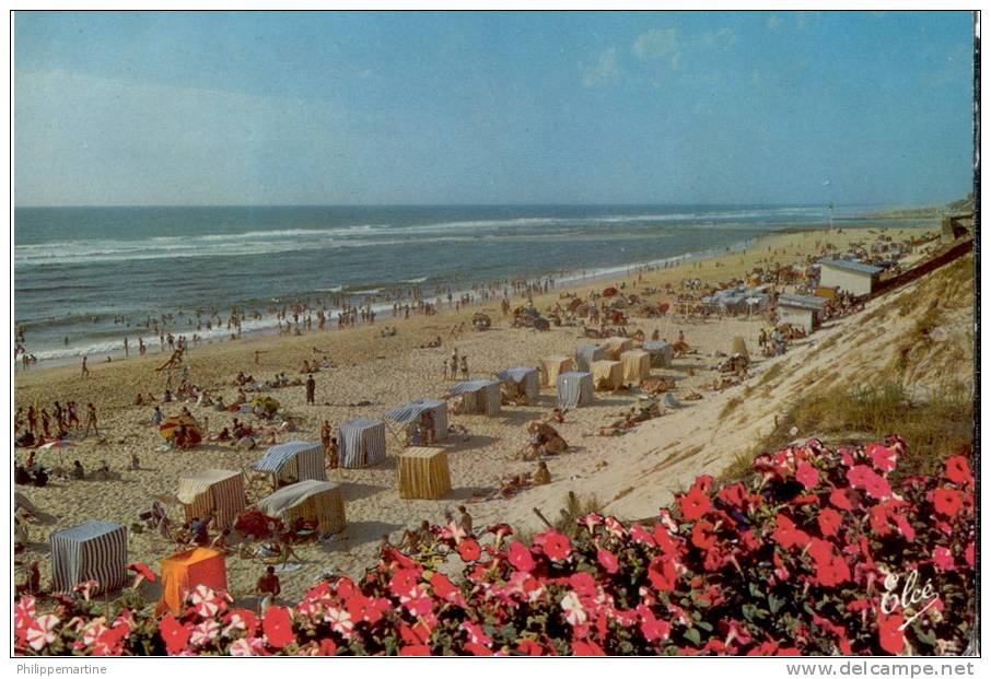 40 - Mimizan-Plage : La Belle Plage - Mimizan Plage