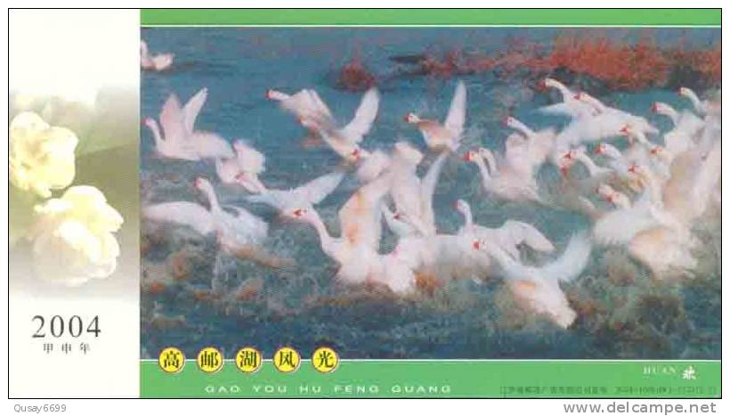 Cygne, Oiseau, Carte Postale Pré-emboutie, Papeterie Postale - Cygnes