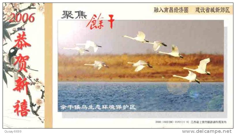 Kingfisher, Crane,  Brid ,   Pre-stamped Postcard, Postal Stationery - Gru & Uccelli Trampolieri