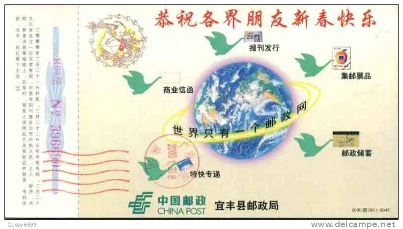 Earth Crane Bird,  Pre-stamped Postcard, Postal Stationery - Aves Gruiformes (Grullas)