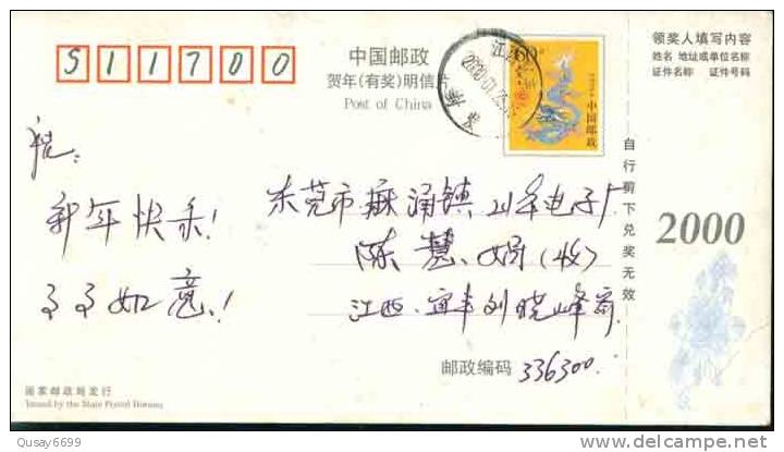 Earth Crane Bird,  Pre-stamped Postcard, Postal Stationery - Kranichvögel