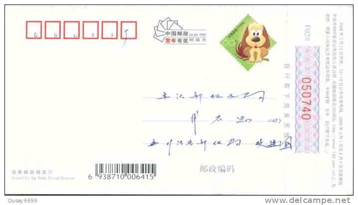 Tower Crane  Bird,  Pre-stamped Postcard, Postal Stationery - Grues Et Gruiformes