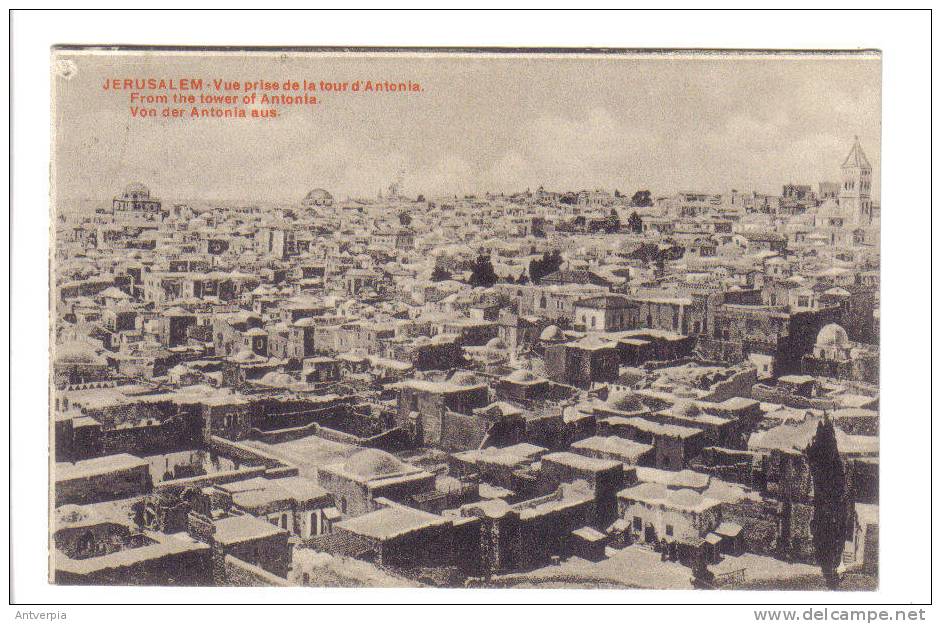 JERUSALEM Vue Prise De La Tour D'antonia - Palestina