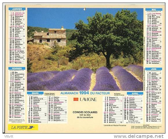 Almanach Du Facteur 1994, Lavande En Haute-Provence, Chevaux Camarguais, Lavigne, Complet, TBE. - Grand Format : 1991-00