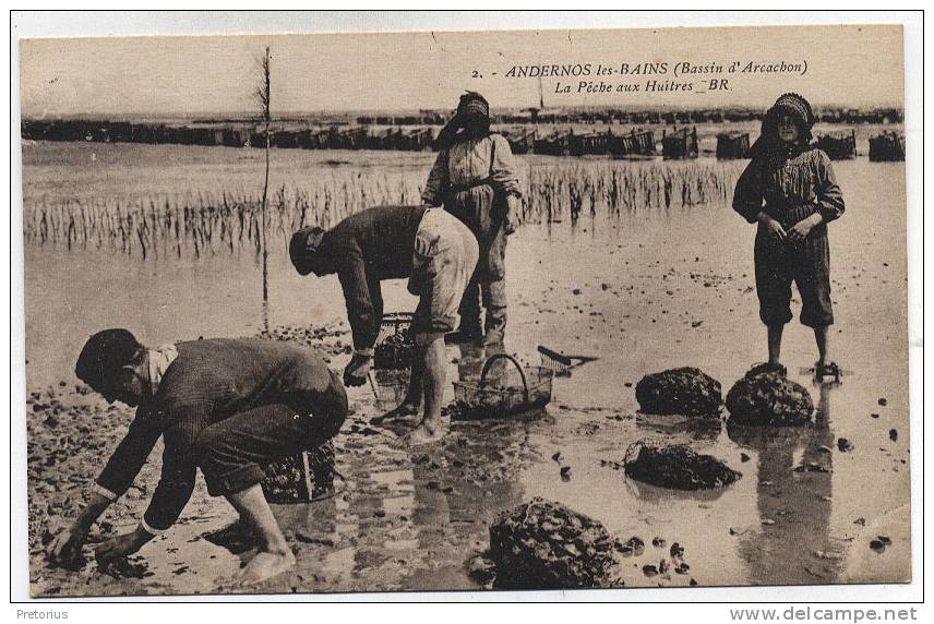 * DEPT 33 . ANDERNOS LES BAINS / LA PECHE AUX HUITRES / ANIMEE * - Andernos-les-Bains