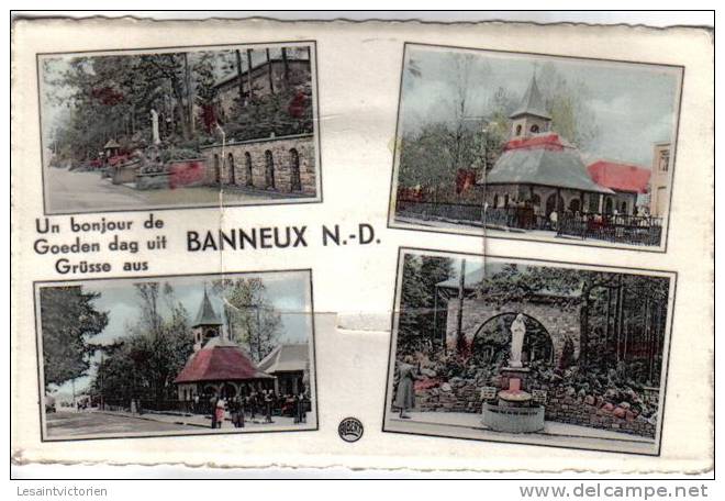 BANNEUX UN BONJOUR DE BANNEUX CARTE SYSTEME A ECHELLE - Sprimont