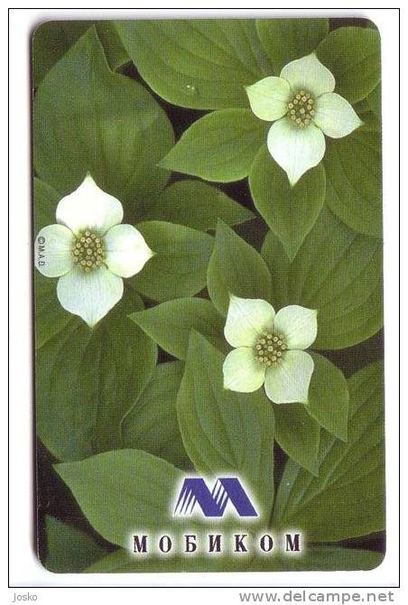 FLOWERS ( Bulgaria - Mobika Chip Card ) - Fleur - Flower - Fleurs - Blumen - Bulgaria