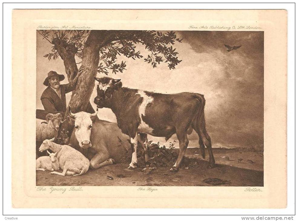 The Young Bull,Potter,The Hague - Barlington Art Miniature  -  Fine Arts Publishing Co Ltd London - Antike
