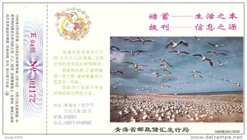Seagull  Bird, Pre-stamped Postcard, Postal Stationery - Gabbiani