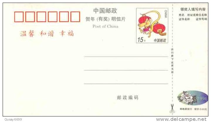 Seagull  Bird, Pre-stamped Postcard, Postal Stationery - Seagulls
