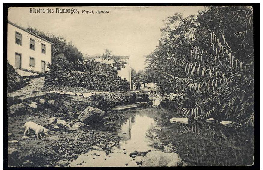 Ribeira Dos Flamengos, Fayal, Azores 1914 - Other & Unclassified