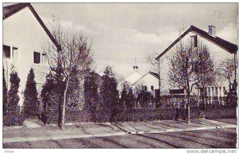 WESMBEEK-OPPEM = Rue Des Marguerites  (Photoline) Vierge - Wezembeek-Oppem