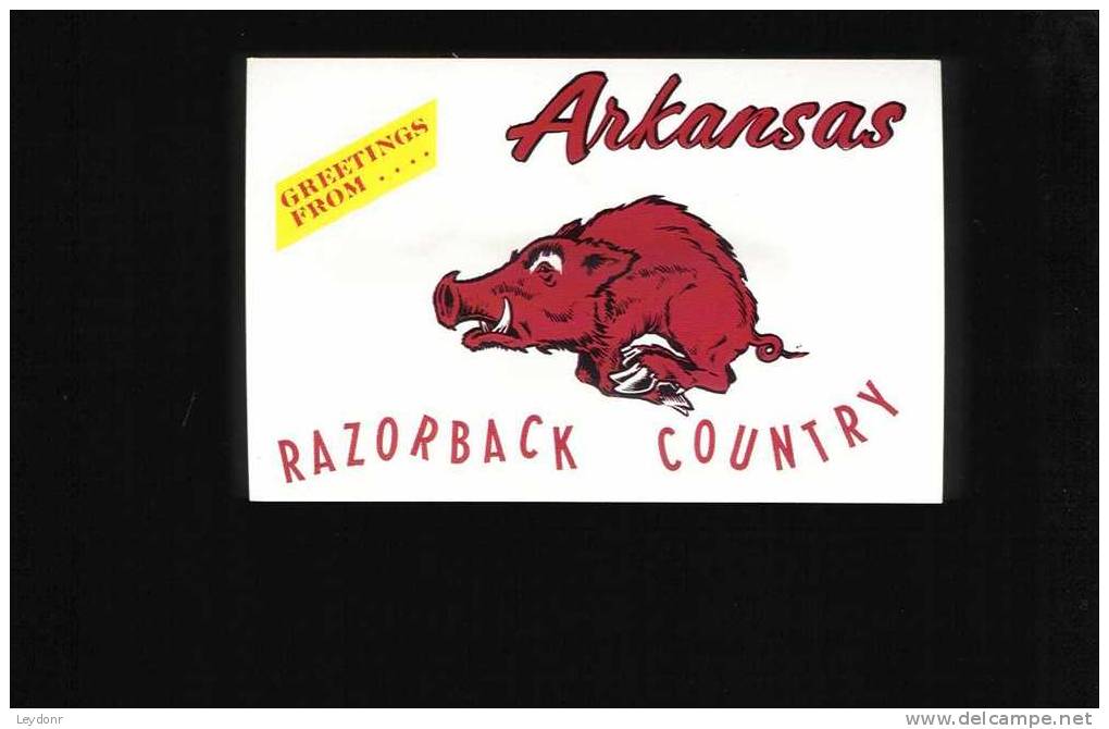 Greetings From Arkansas Razorback Country - Andere & Zonder Classificatie