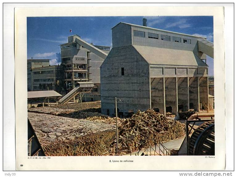 - FRANCE . USINE DE CELLULOSE . (TARASCON) . REPRO DE PHOTO DE LA DOCUMENTATION PEDAGOGIQUE 1961 - Sonstige & Ohne Zuordnung