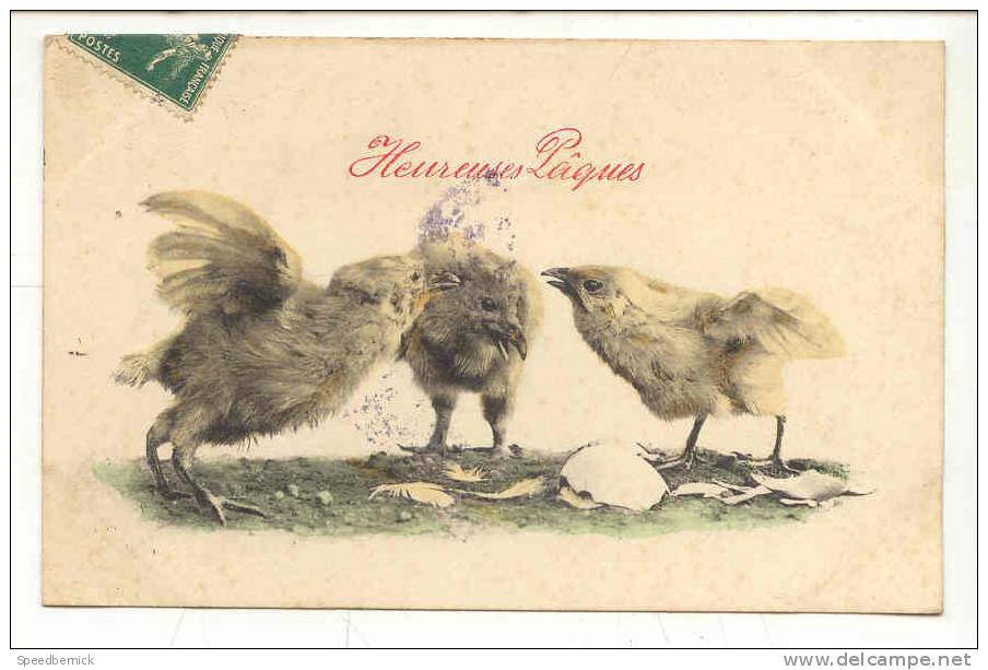 8348 Coq Poule Coqs Poussin Poussins Oeuf Oeufs .Joyeuses Paques. Datée 1908.ASV 422 - Oiseaux
