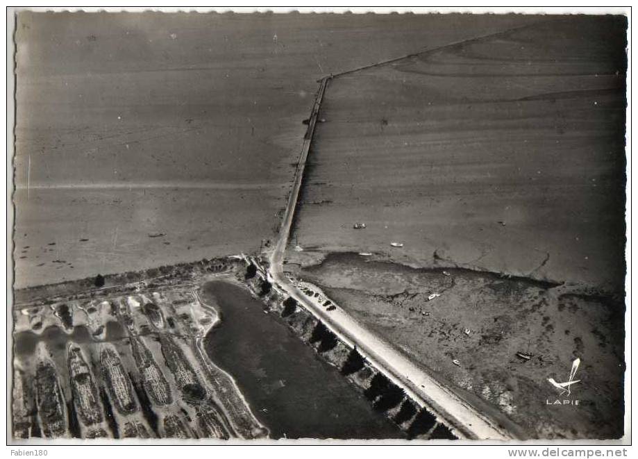 85 EN AVION AU-DESSUS DE NOIRMOUTIER - PASSAGE Du GOIS - Noirmoutier