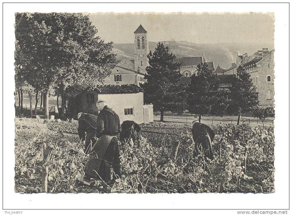 Dourgne    -    Abbaye Saint Benoit D'En Calcat  -  Moines Au Travail - Dourgne