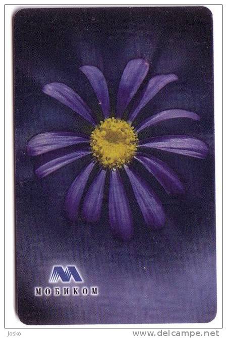 FLOWER  -  ( Bulgaria - Mobika Chip Card ) - Fleur - Flowers - Fleurs - Blumen - Tirage 100.000 Ex. - Bulgarien