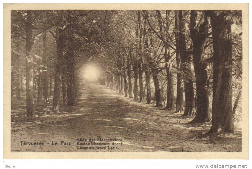 TERVUEREN - Le Parc - Allée Des Maronniers - Kastanjebomen Dreef - Tervuren