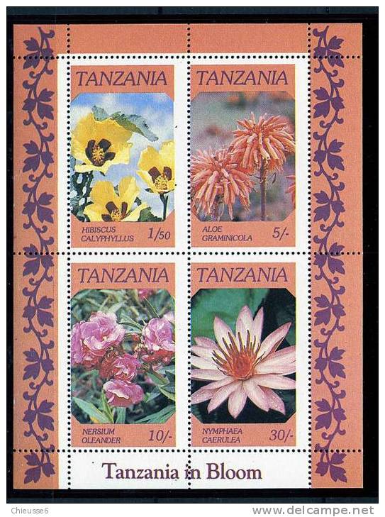 Tanzanie ** Bloc N° 46 - Fleurs De Tanzanie - Transkei