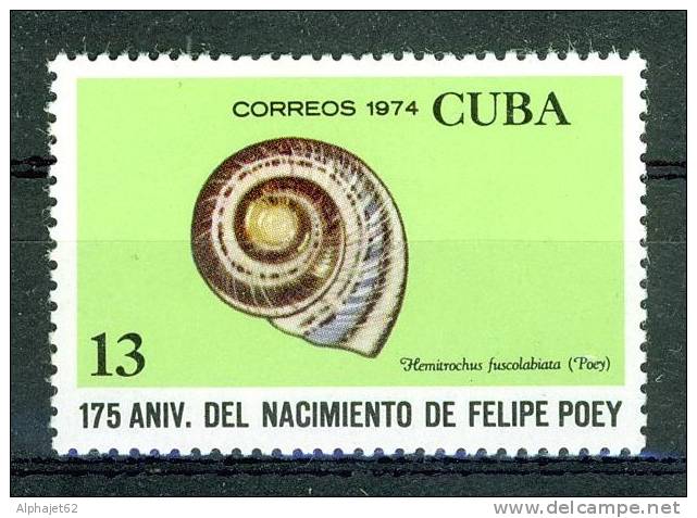Coquillage - CUBA - N° 1772 ** - 1974 - Nuovi