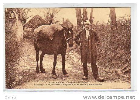 LE MEUNIER D'ANGIBAULT LE GRAND LOUIS  ET SA VIEILLE SOPHIE - Otros & Sin Clasificación