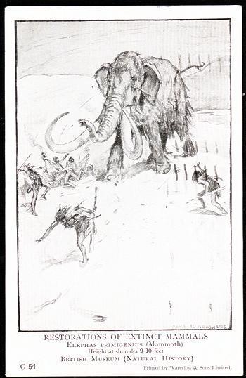 Extinct Mammal - Elephant - Small Men Fleeing: Artist Signed Alice B Woodward - Elephants