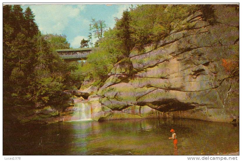 THE FLUME AT FRANCONIA NOTCH / CPSM 1956 - Altri & Non Classificati