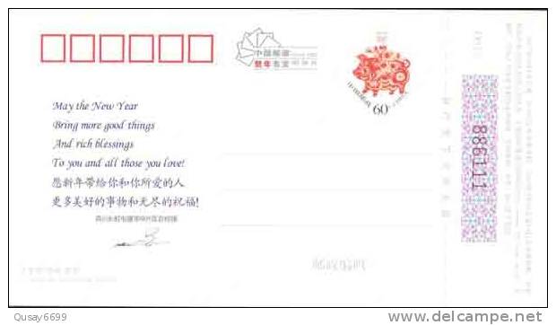 Changhong TV Set Ad , Pre-stamped Stationery , Postal Stationery - Física