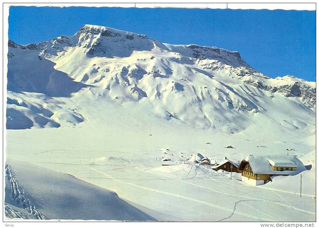 ENGSTLIGENALP BEI ADELBODEN - Adelboden