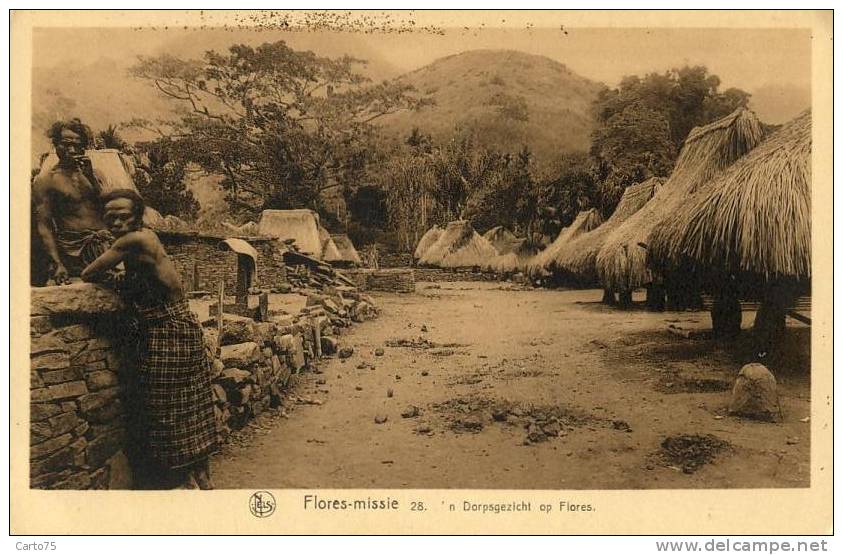 INDONESIE - ILES De La SONDE - Mission Flores -  Village - Indonésie