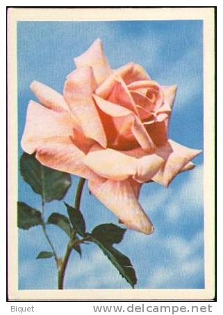 Bel Entier Carte Postale Russe Sur Les Roses (11) - Rosas