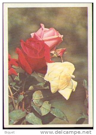 Bel Entier Carte Postale Russe Sur Les Roses (13) - Rozen