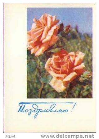 Bel Entier Carte Postale Russe Sur Les Roses (14) Entier De Voeux - Rosas