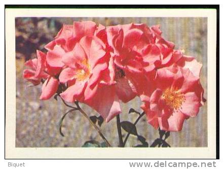 Bel Entier Carte Postale Russe Sur Les Roses (16) - Rosas