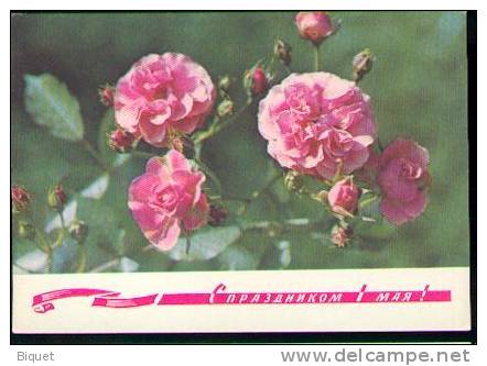 Bel Entier Carte Postale Russe Sur Les Roses (19) Pour Les Voeux - Rosas