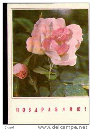 Bel Entier Carte Postale Russe Sur Les Roses (20) Pour Les Voeux - Rosas