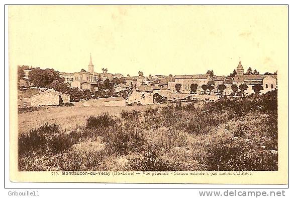 MONTFAUCON DU VELAY  -  VUE GENERALE - STATION ESTIVALE A 920m D´Altitude - Montfaucon En Velay