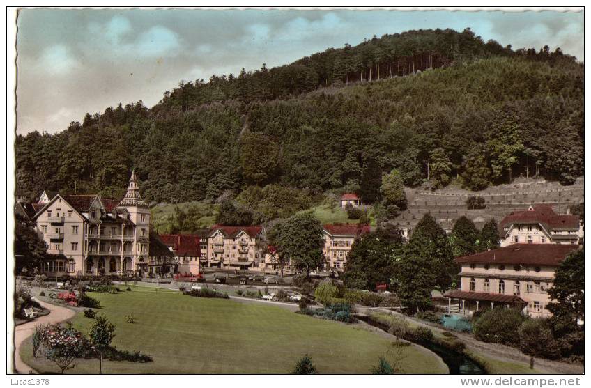 HERRENALB / SCHWARZWALD - Hochschwarzwald