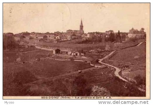 69 BOIS D´OINGT Vue Générale Et Gare C F B - Le Bois D'Oingt