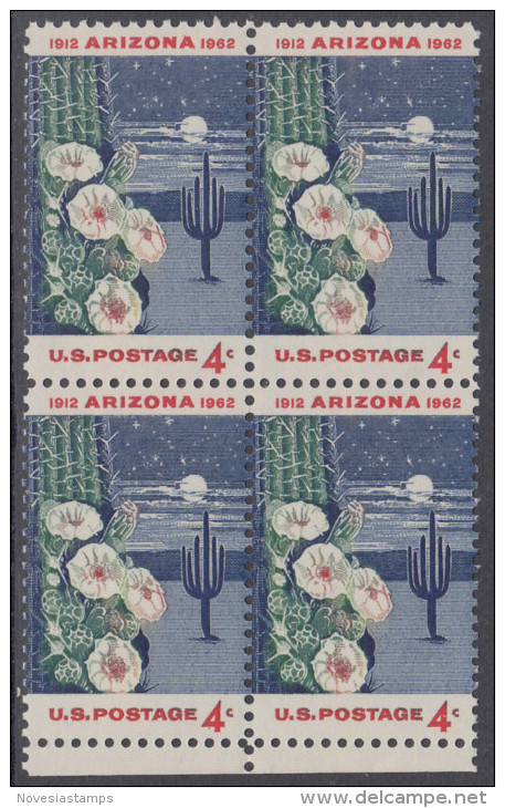 !a! USA Sc# 1192 MNH BLOCK W/ Bottom Margins - Arizona Statehood - Neufs