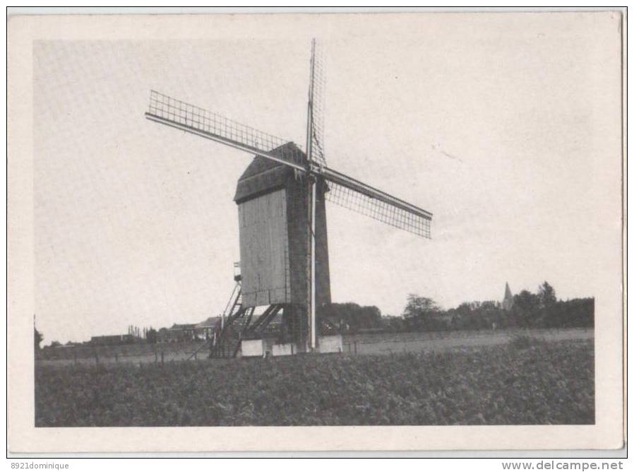 Huise : Koutermolen (moulin à Vent)  - Molen Moulin Mil Mühle (Zingem Kruisem) - Zingem